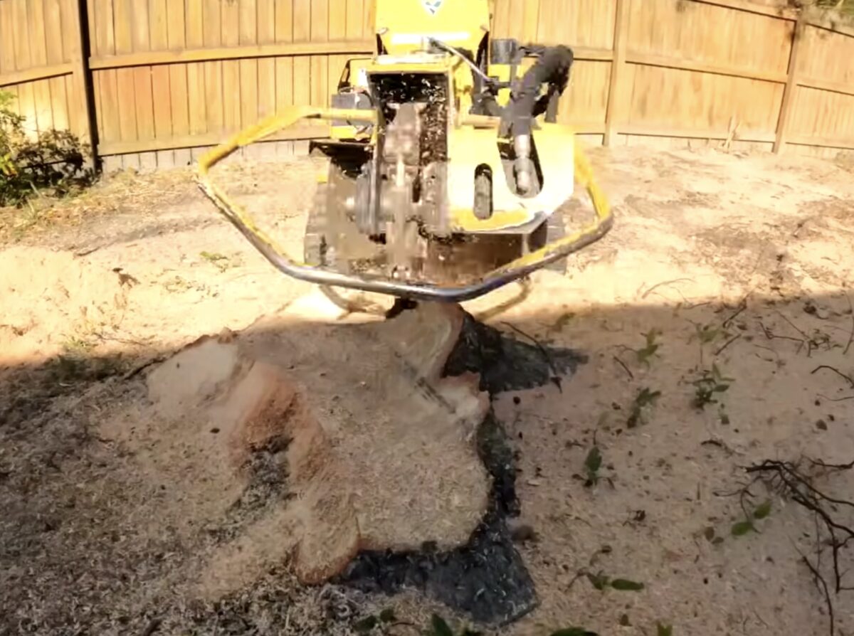 Stump grinding service in Plainview NY